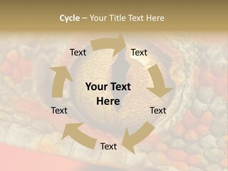 A Macro Shot Of The Eye Of A Tokay Gecko PowerPoint Template