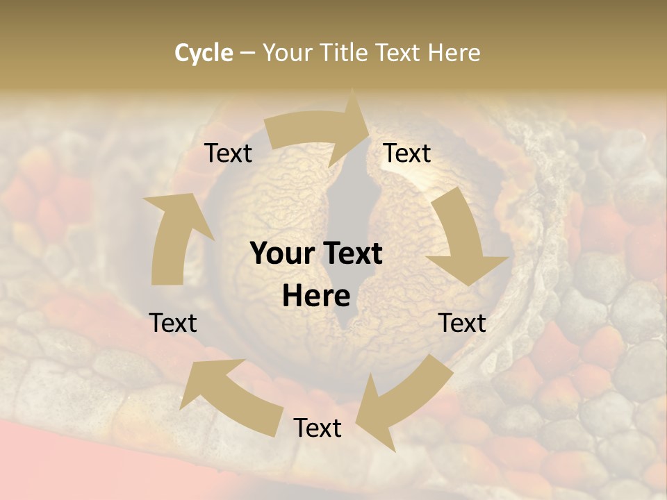 A Macro Shot Of The Eye Of A Tokay Gecko PowerPoint Template