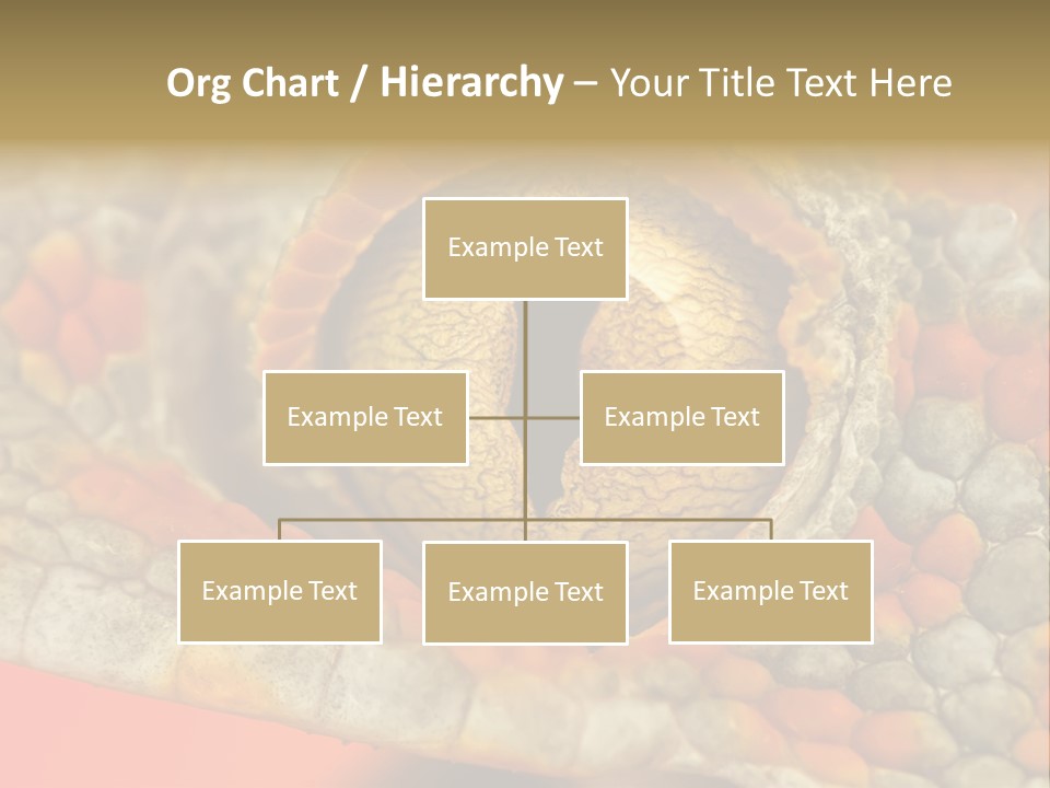 A Macro Shot Of The Eye Of A Tokay Gecko PowerPoint Template
