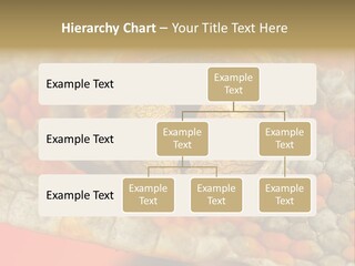 A Macro Shot Of The Eye Of A Tokay Gecko PowerPoint Template