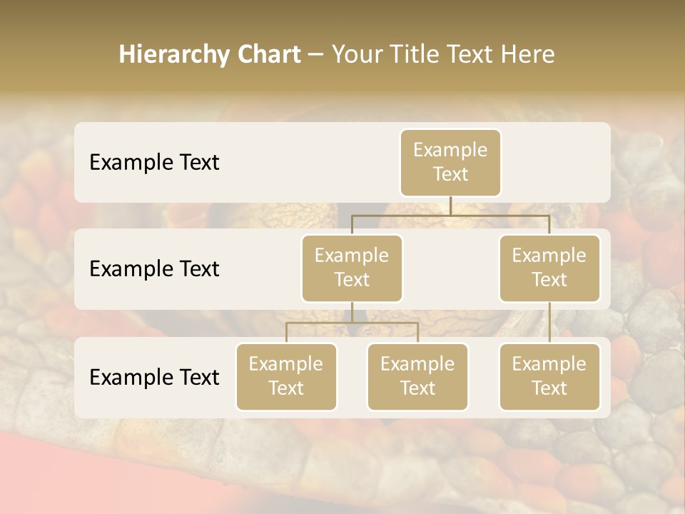 A Macro Shot Of The Eye Of A Tokay Gecko PowerPoint Template