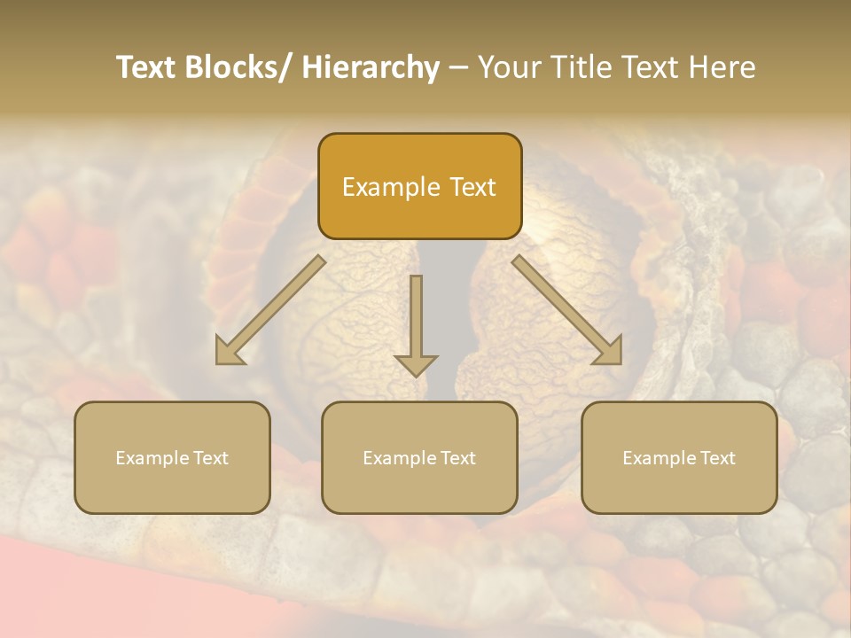 A Macro Shot Of The Eye Of A Tokay Gecko PowerPoint Template