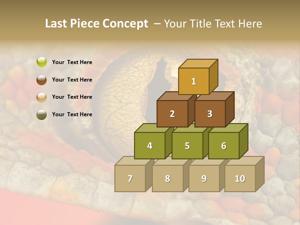 A Macro Shot Of The Eye Of A Tokay Gecko PowerPoint Template