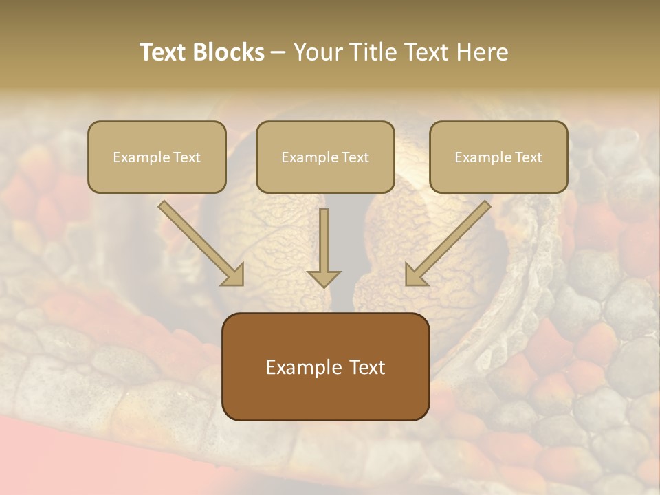 A Macro Shot Of The Eye Of A Tokay Gecko PowerPoint Template