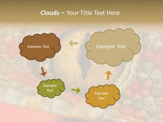 A Macro Shot Of The Eye Of A Tokay Gecko PowerPoint Template