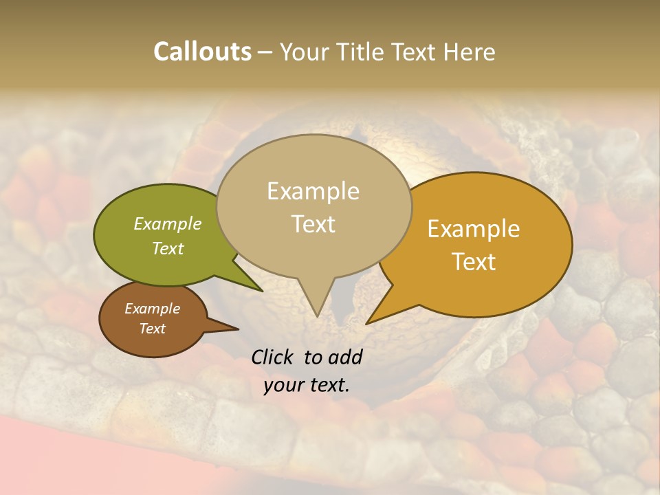 A Macro Shot Of The Eye Of A Tokay Gecko PowerPoint Template