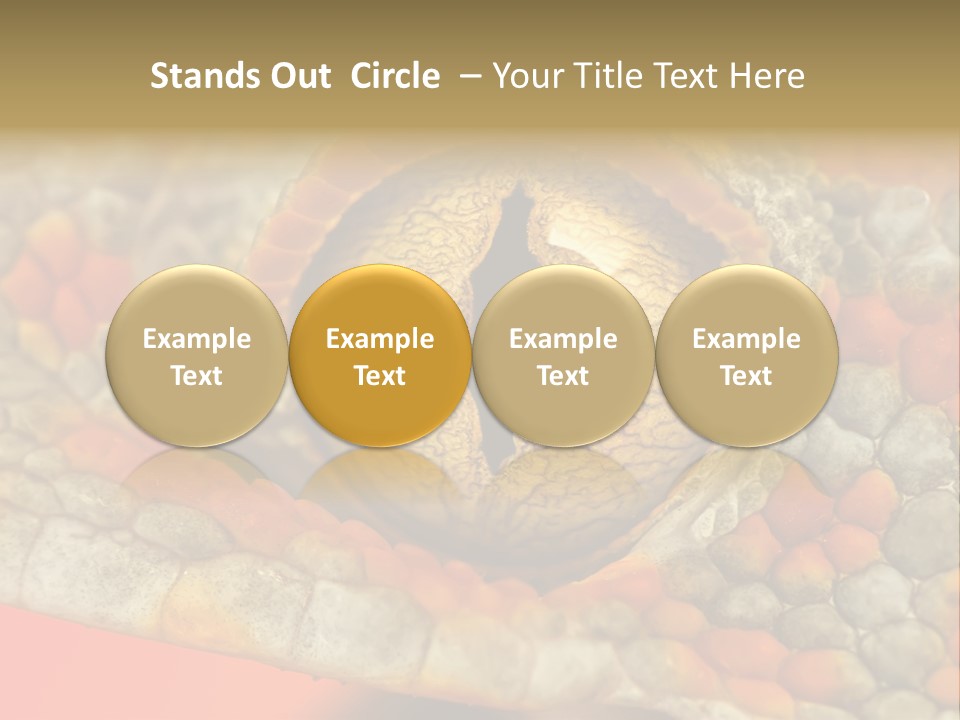 A Macro Shot Of The Eye Of A Tokay Gecko PowerPoint Template