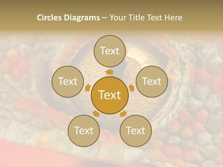 A Macro Shot Of The Eye Of A Tokay Gecko PowerPoint Template