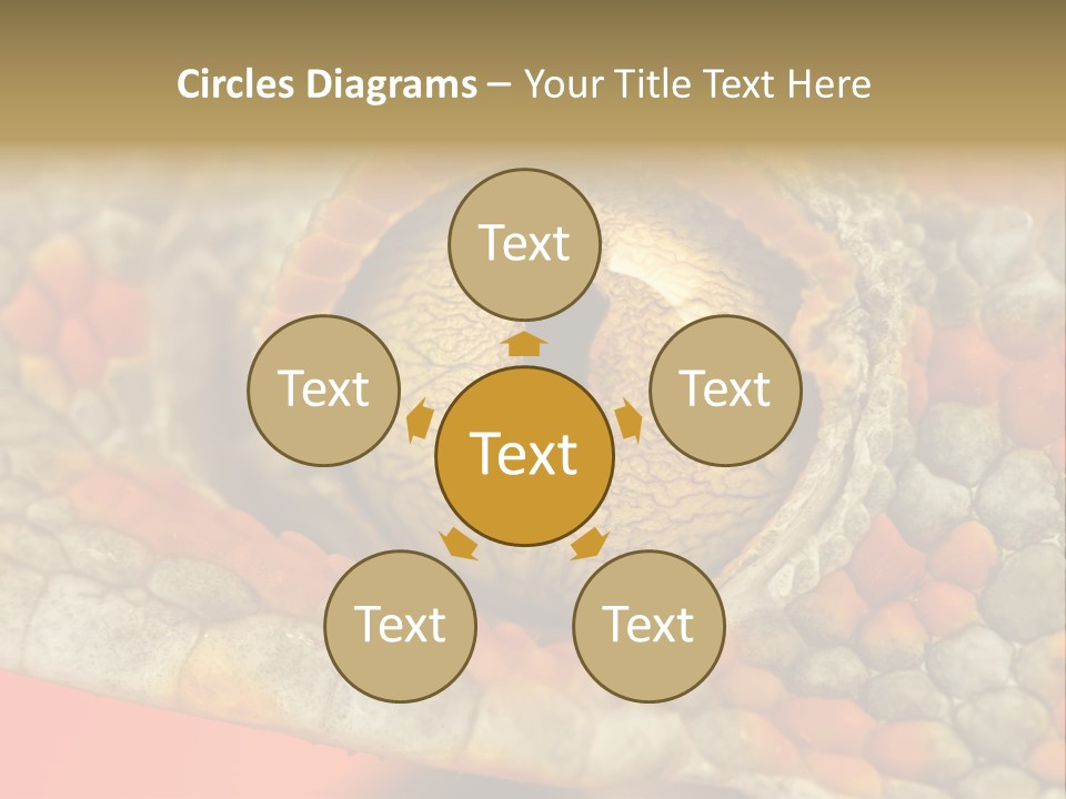 A Macro Shot Of The Eye Of A Tokay Gecko PowerPoint Template