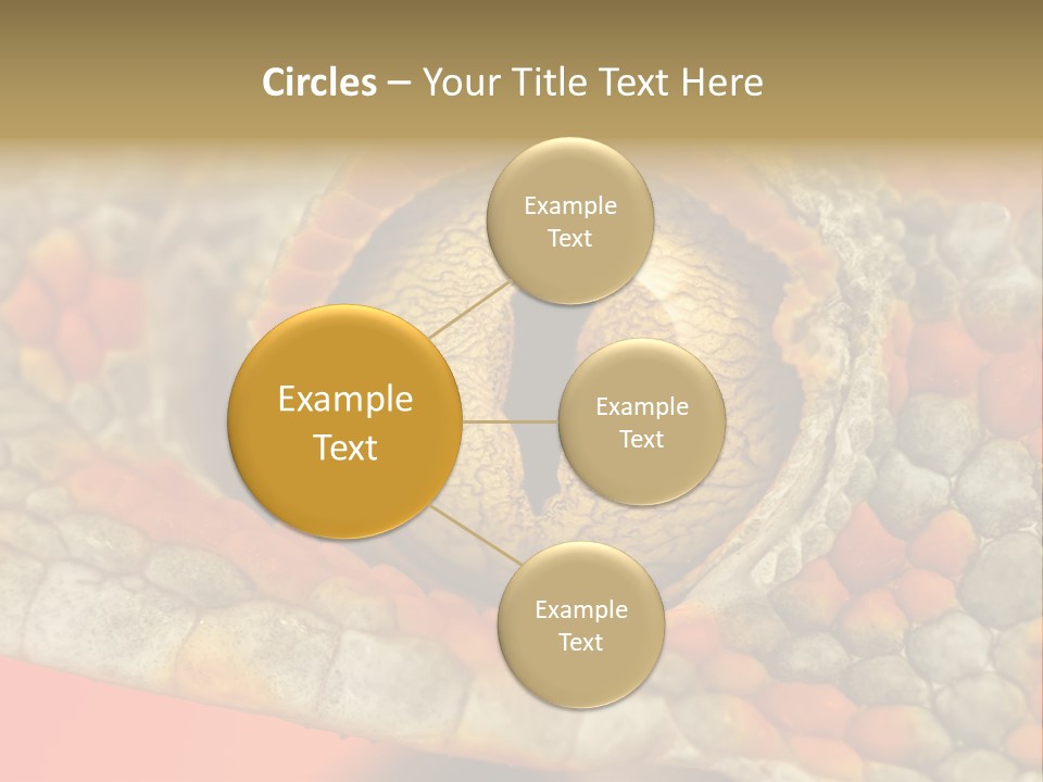 A Macro Shot Of The Eye Of A Tokay Gecko PowerPoint Template