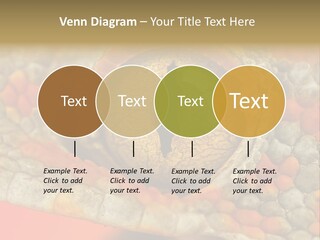 A Macro Shot Of The Eye Of A Tokay Gecko PowerPoint Template