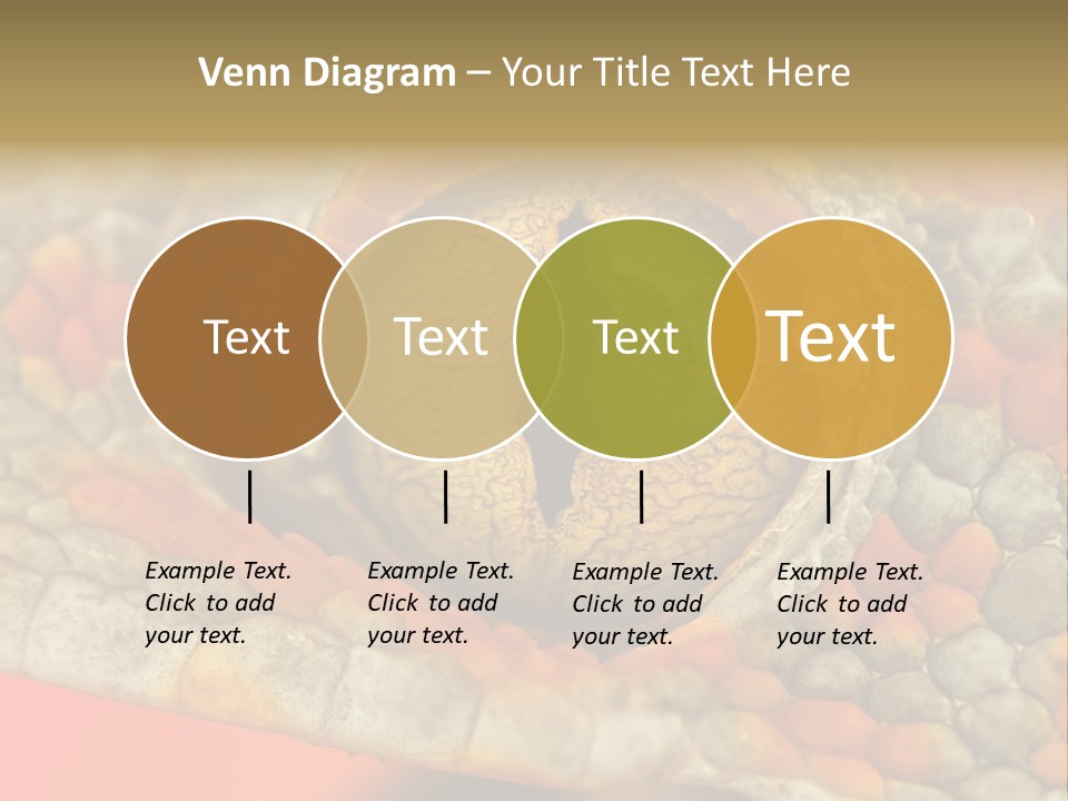 A Macro Shot Of The Eye Of A Tokay Gecko PowerPoint Template