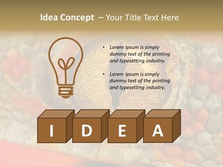 A Macro Shot Of The Eye Of A Tokay Gecko PowerPoint Template