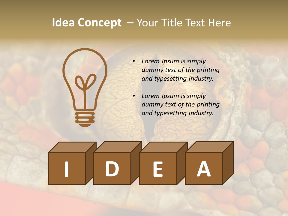 A Macro Shot Of The Eye Of A Tokay Gecko PowerPoint Template