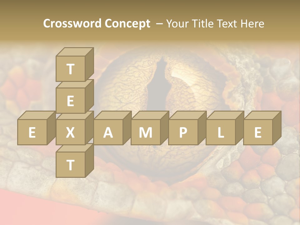 A Macro Shot Of The Eye Of A Tokay Gecko PowerPoint Template