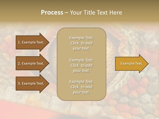A Macro Shot Of The Eye Of A Tokay Gecko PowerPoint Template