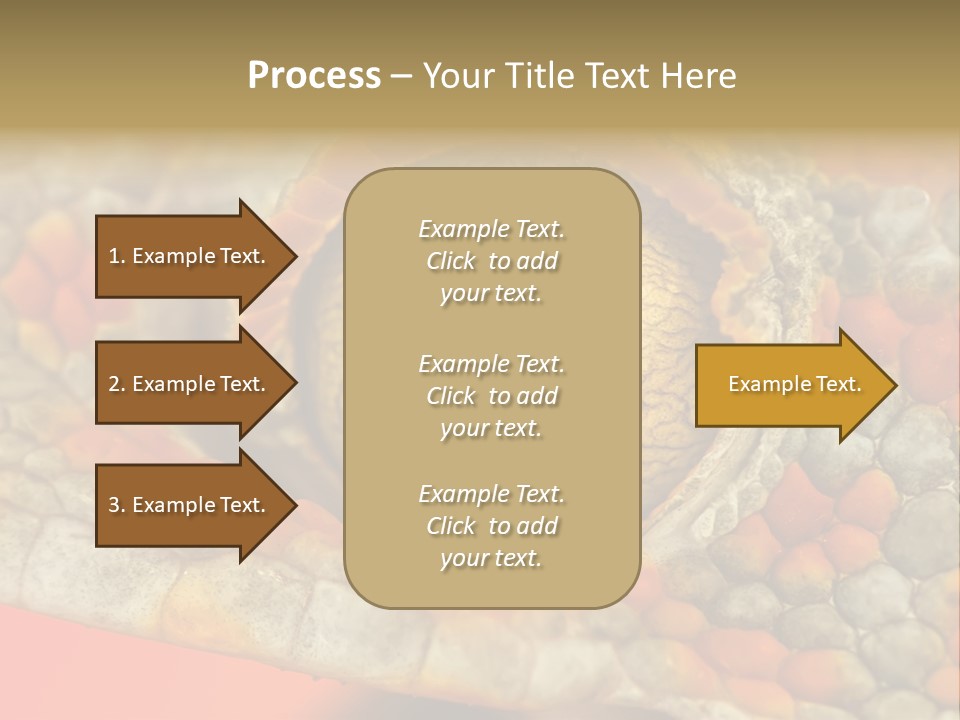 A Macro Shot Of The Eye Of A Tokay Gecko PowerPoint Template