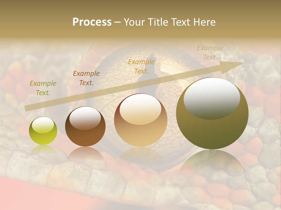 A Macro Shot Of The Eye Of A Tokay Gecko PowerPoint Template