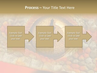 A Macro Shot Of The Eye Of A Tokay Gecko PowerPoint Template