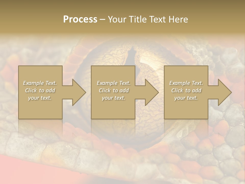 A Macro Shot Of The Eye Of A Tokay Gecko PowerPoint Template