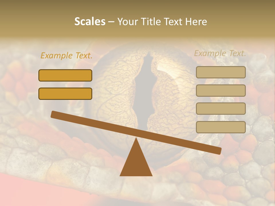 A Macro Shot Of The Eye Of A Tokay Gecko PowerPoint Template