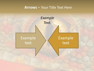 A Macro Shot Of The Eye Of A Tokay Gecko PowerPoint Template