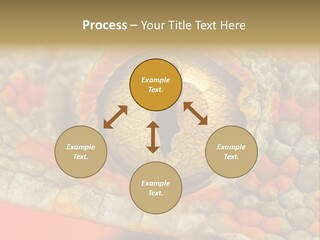 A Macro Shot Of The Eye Of A Tokay Gecko PowerPoint Template