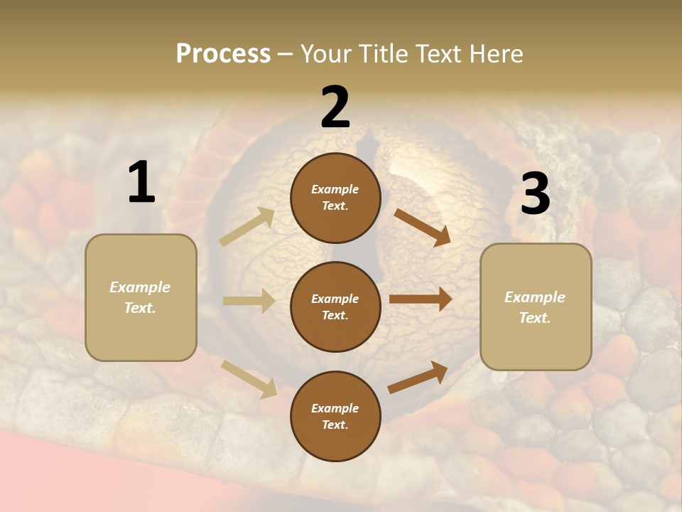 A Macro Shot Of The Eye Of A Tokay Gecko PowerPoint Template