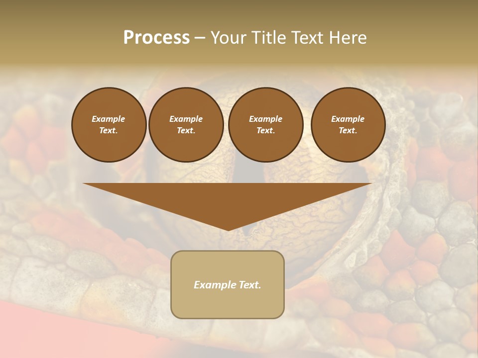 A Macro Shot Of The Eye Of A Tokay Gecko PowerPoint Template