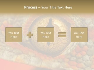 A Macro Shot Of The Eye Of A Tokay Gecko PowerPoint Template