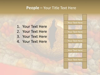 A Macro Shot Of The Eye Of A Tokay Gecko PowerPoint Template