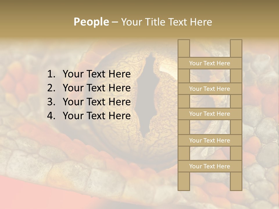 A Macro Shot Of The Eye Of A Tokay Gecko PowerPoint Template