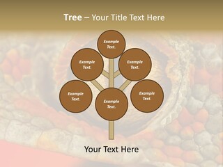 A Macro Shot Of The Eye Of A Tokay Gecko PowerPoint Template