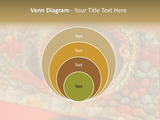 A Macro Shot Of The Eye Of A Tokay Gecko PowerPoint Template
