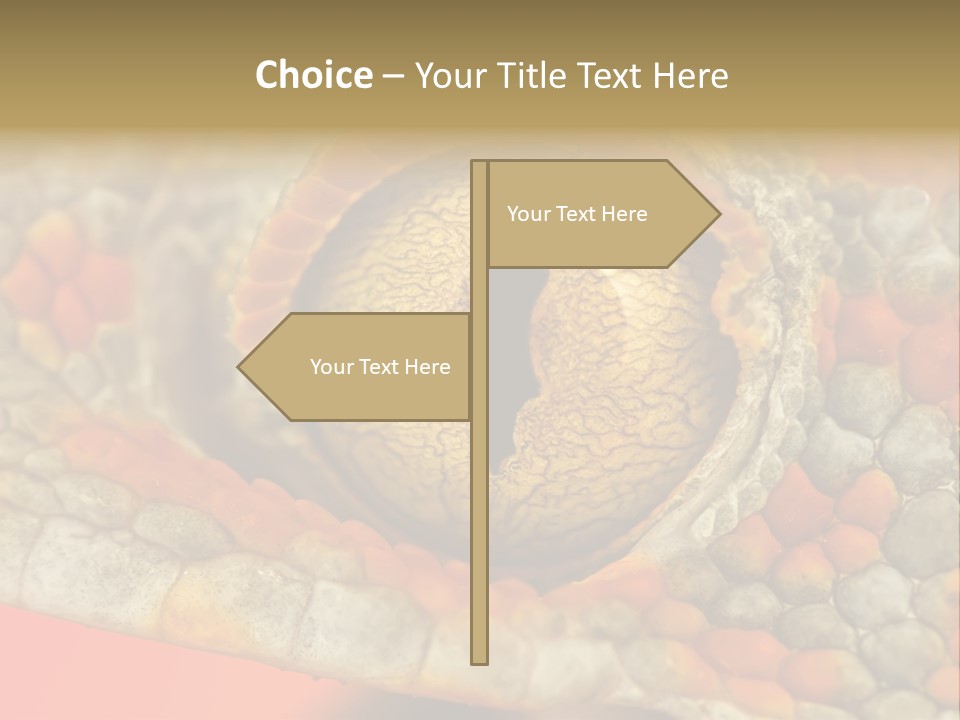 A Macro Shot Of The Eye Of A Tokay Gecko PowerPoint Template