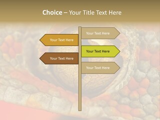 A Macro Shot Of The Eye Of A Tokay Gecko PowerPoint Template