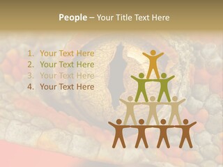 A Macro Shot Of The Eye Of A Tokay Gecko PowerPoint Template