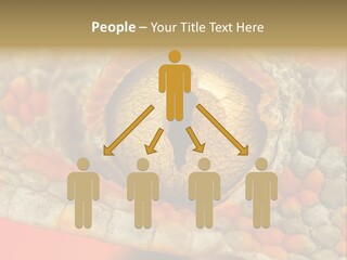 A Macro Shot Of The Eye Of A Tokay Gecko PowerPoint Template