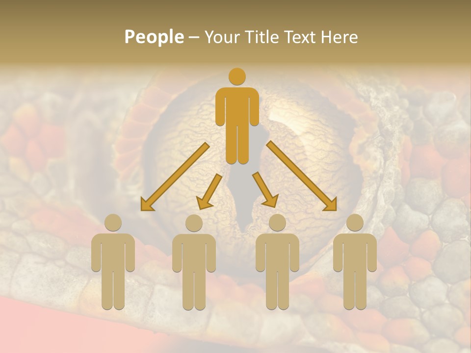 A Macro Shot Of The Eye Of A Tokay Gecko PowerPoint Template