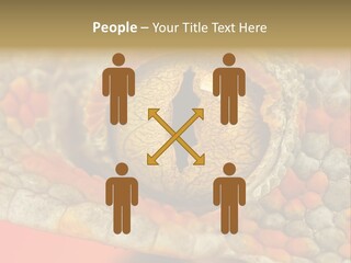 A Macro Shot Of The Eye Of A Tokay Gecko PowerPoint Template