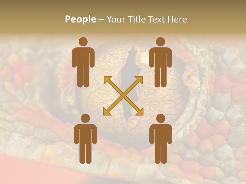 A Macro Shot Of The Eye Of A Tokay Gecko PowerPoint Template