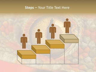 A Macro Shot Of The Eye Of A Tokay Gecko PowerPoint Template