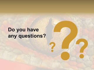 A Macro Shot Of The Eye Of A Tokay Gecko PowerPoint Template