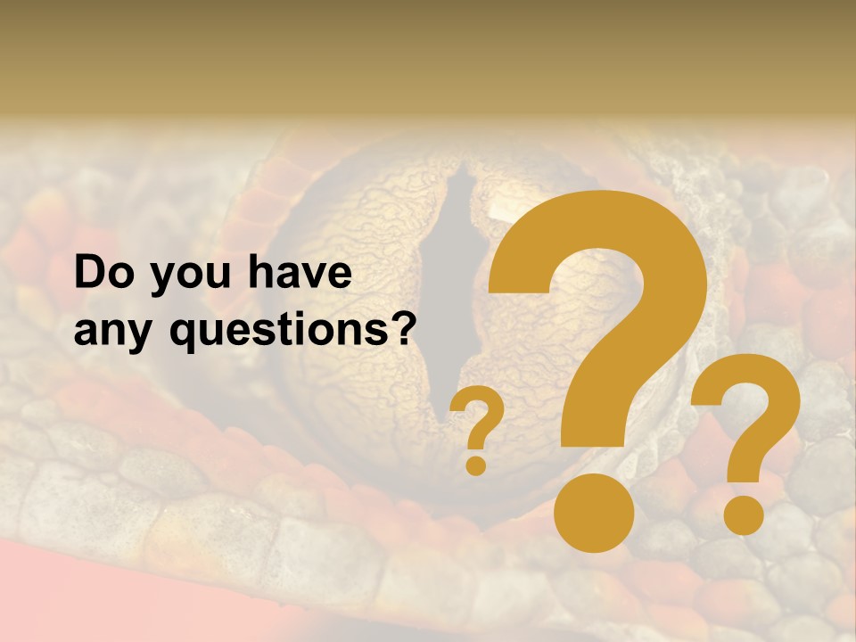 A Macro Shot Of The Eye Of A Tokay Gecko PowerPoint Template