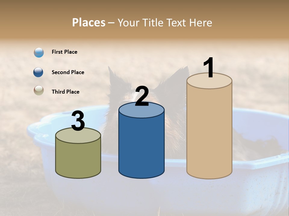 A Dog Sitting In A Blue Tub With His Tongue Out PowerPoint Template