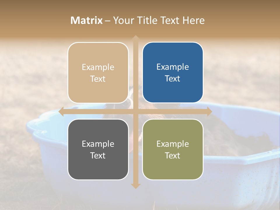 A Dog Sitting In A Blue Tub With His Tongue Out PowerPoint Template