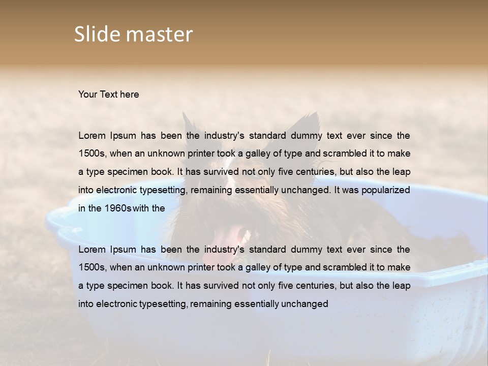 A Dog Sitting In A Blue Tub With His Tongue Out PowerPoint Template