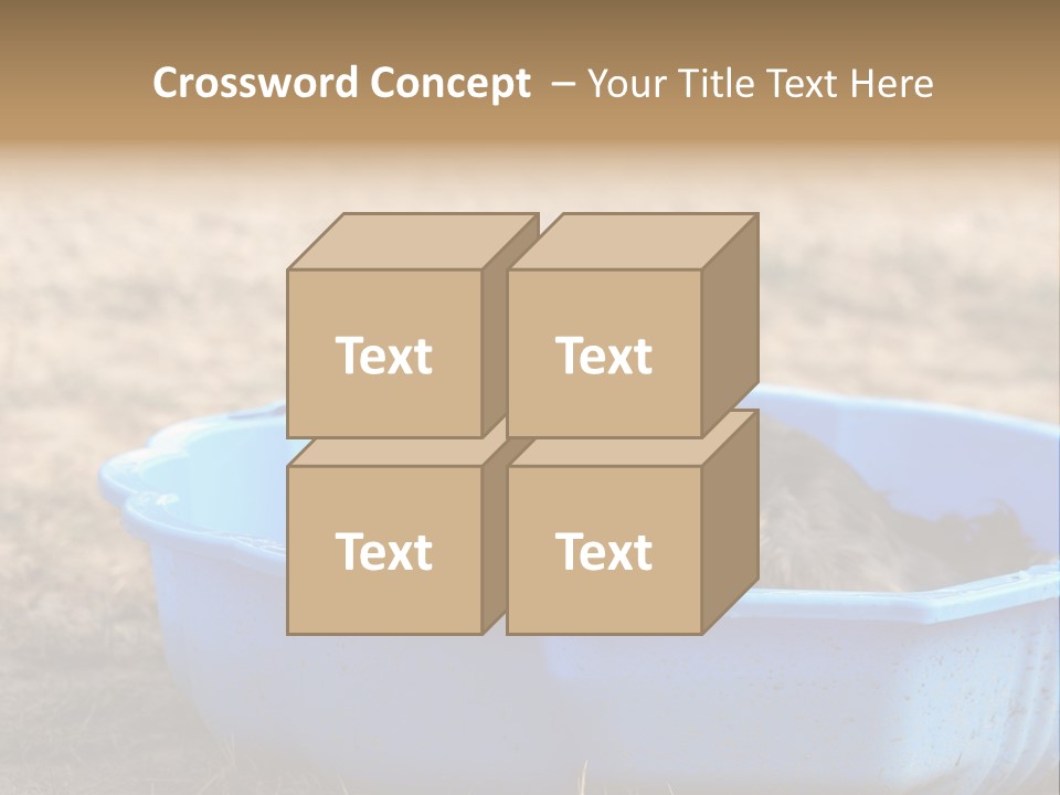 A Dog Sitting In A Blue Tub With His Tongue Out PowerPoint Template