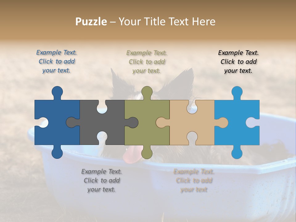 A Dog Sitting In A Blue Tub With His Tongue Out PowerPoint Template