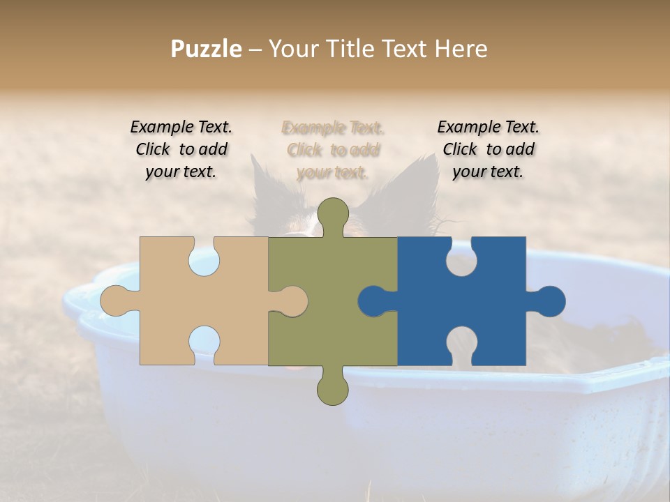 A Dog Sitting In A Blue Tub With His Tongue Out PowerPoint Template